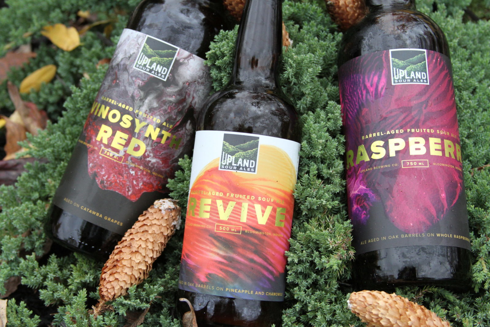 Spread the cheer + beer this season! Upland Brewing Co