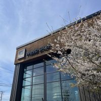 455707291_1018314219962261_7285704645214213662_n